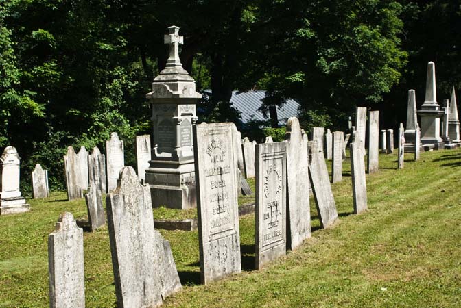 Professional genealogy research service